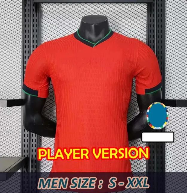 Home Player Version 2024 Euro Patch