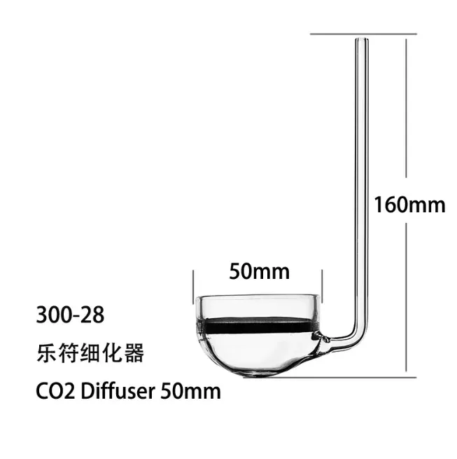 色：丸い底50mm