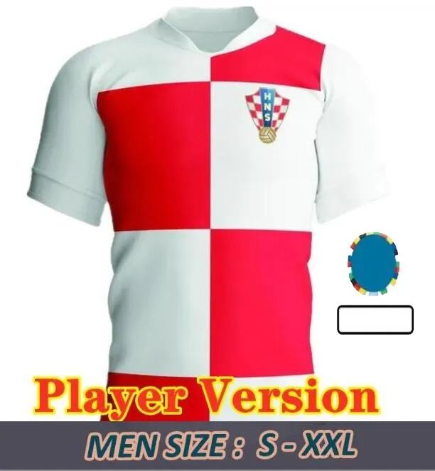 Home player versiov 2024 Euro