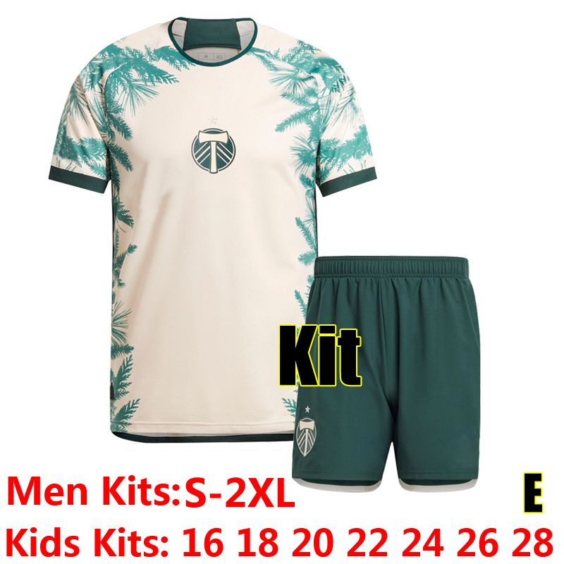 Botelan famuzhe 24-25 Away Kit