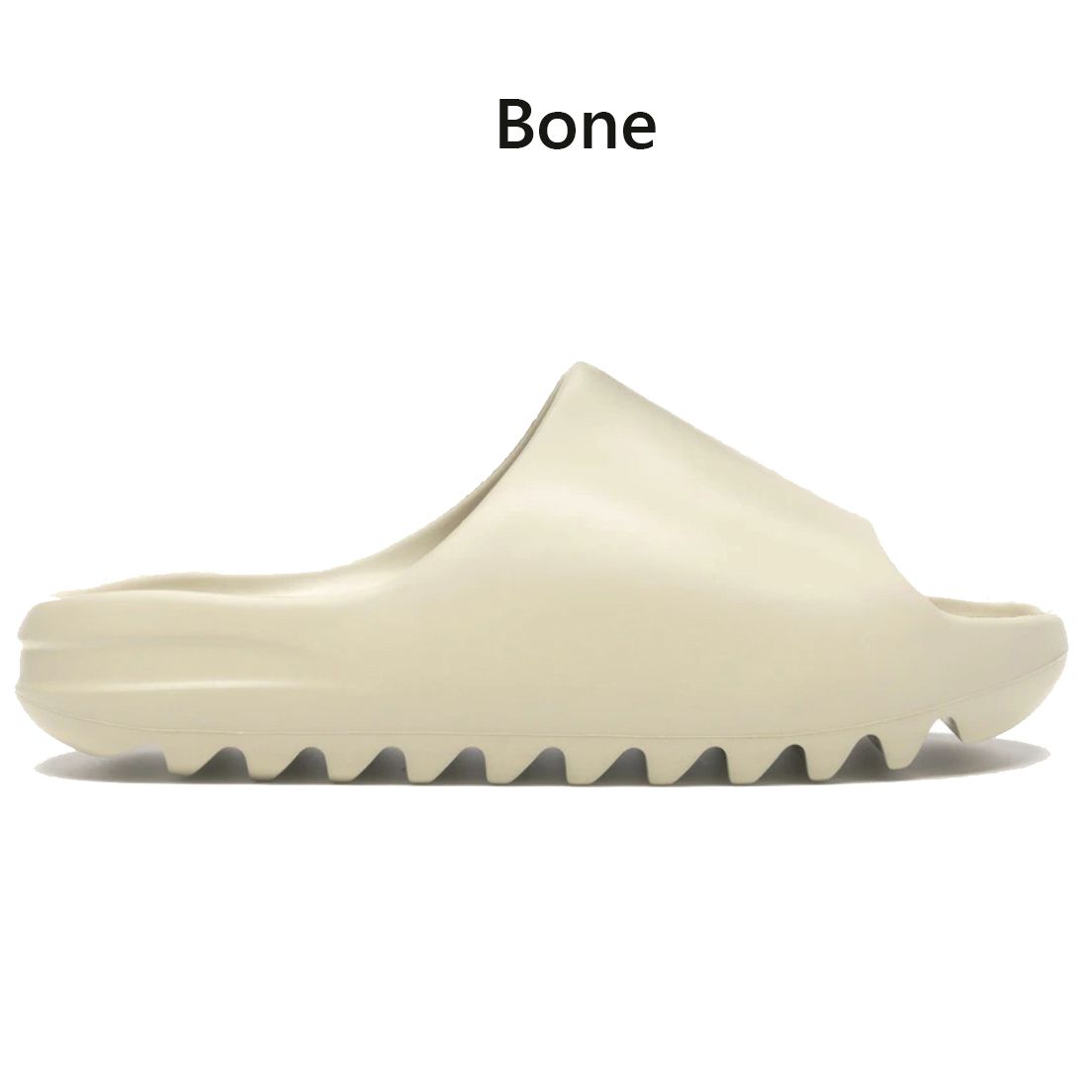 003 Bone