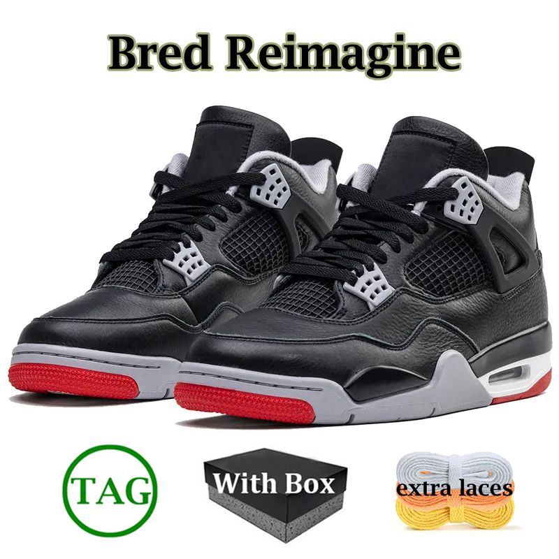 Bred Reimagine