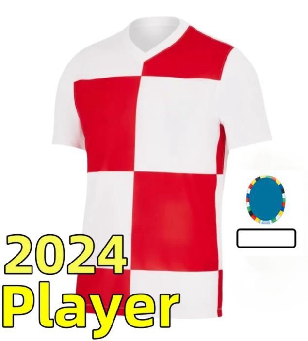 Home Player Version 2024 Euro Patch