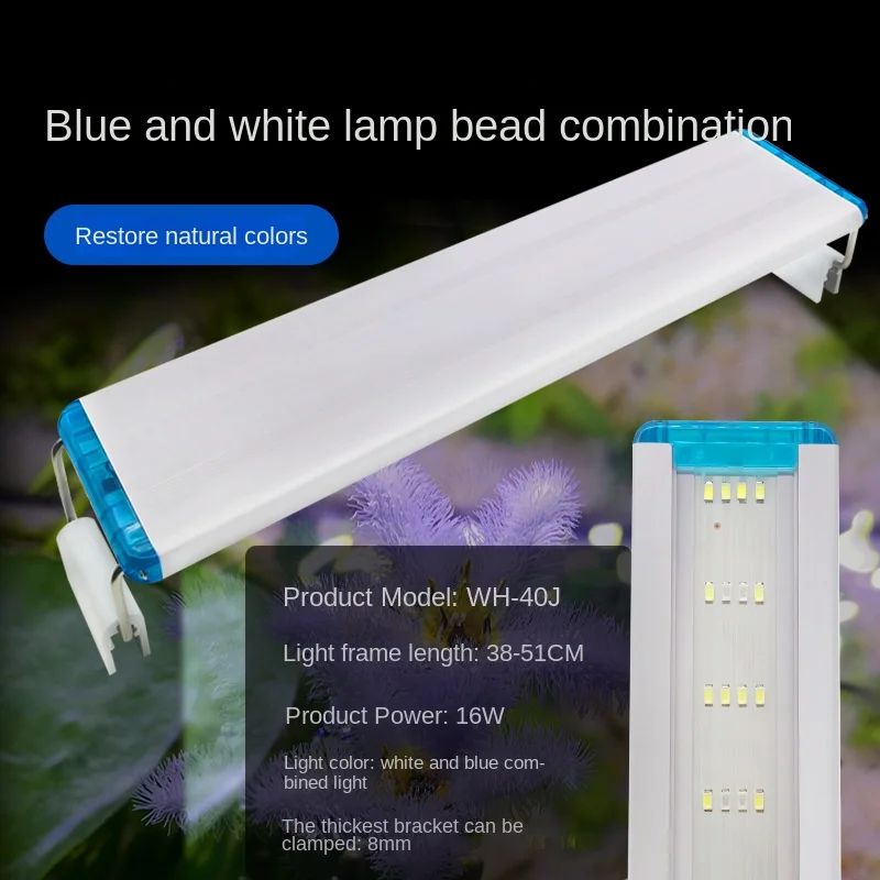 Colore: luce bianca blu da 16 W