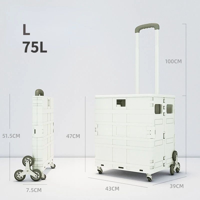 Color:white L 75L