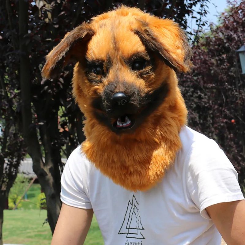 Kolor: pies żółtego wilka