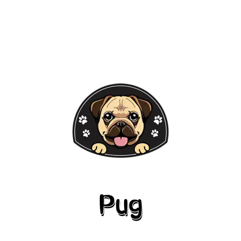 Gümüş pug