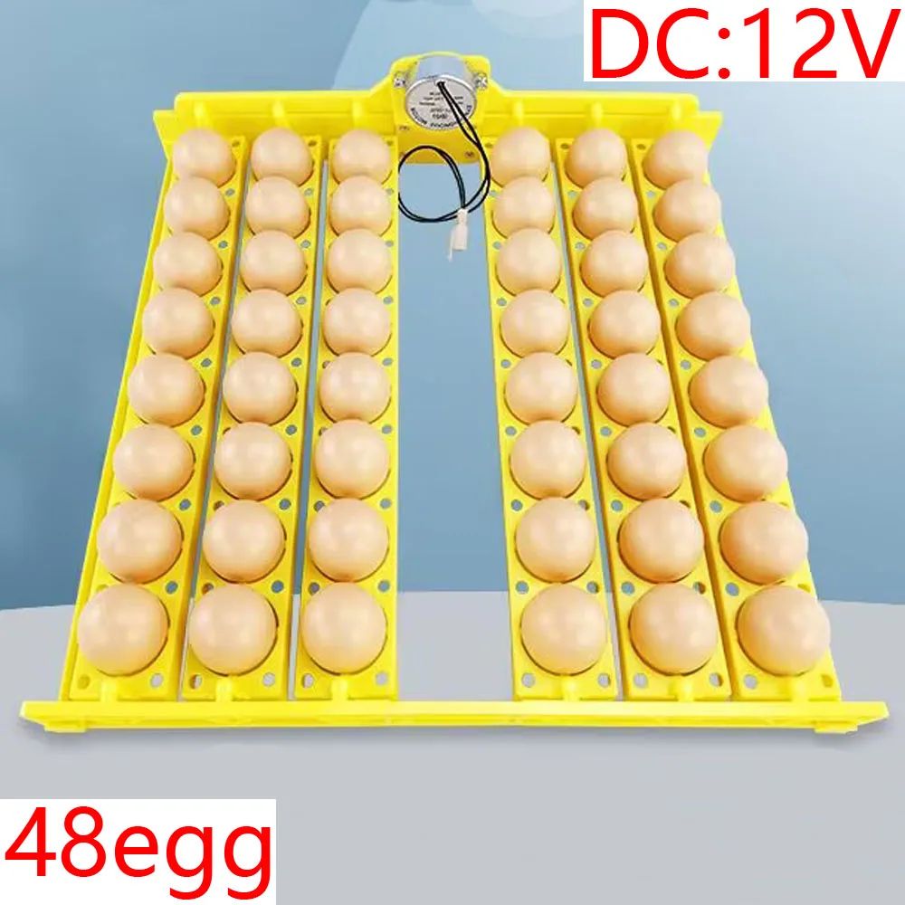 色：48egg DC12V