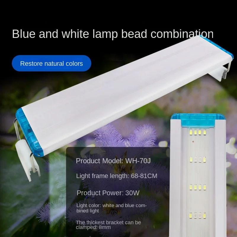 Couleur : lumière blanche bleue 30 W.