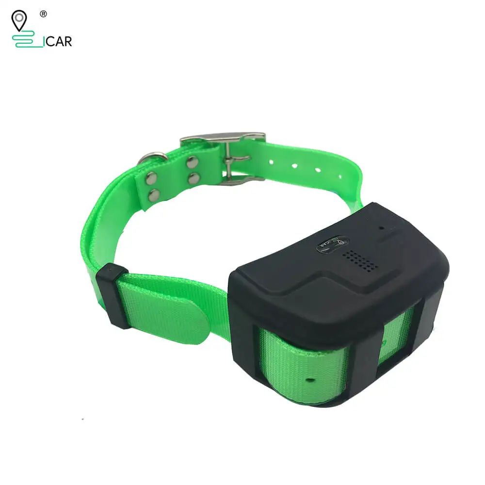 Color:Green Collar