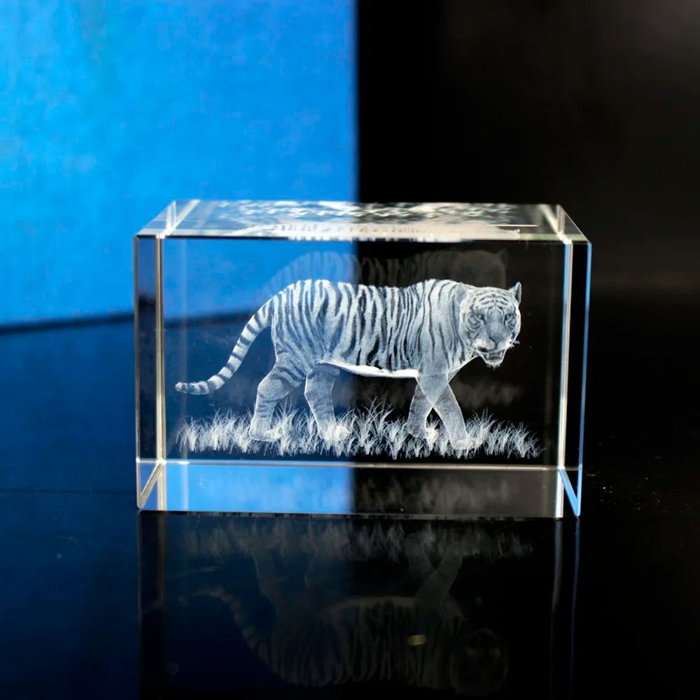 Färg: Tiger Model Cube