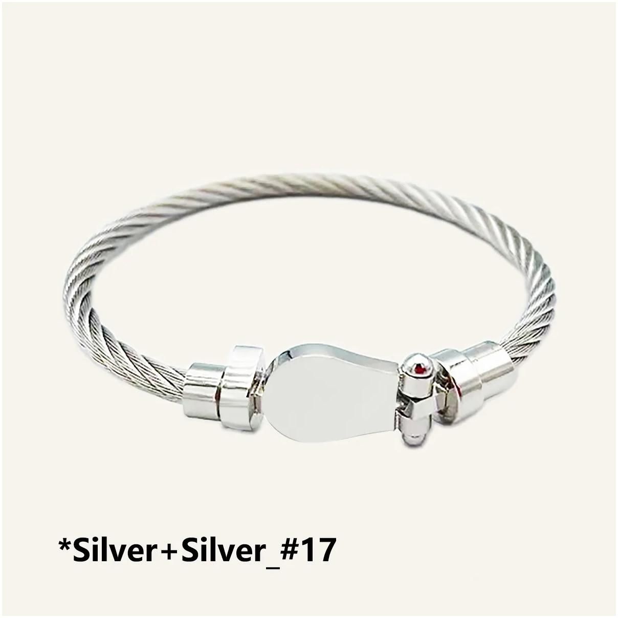 Silver+Silver_#17