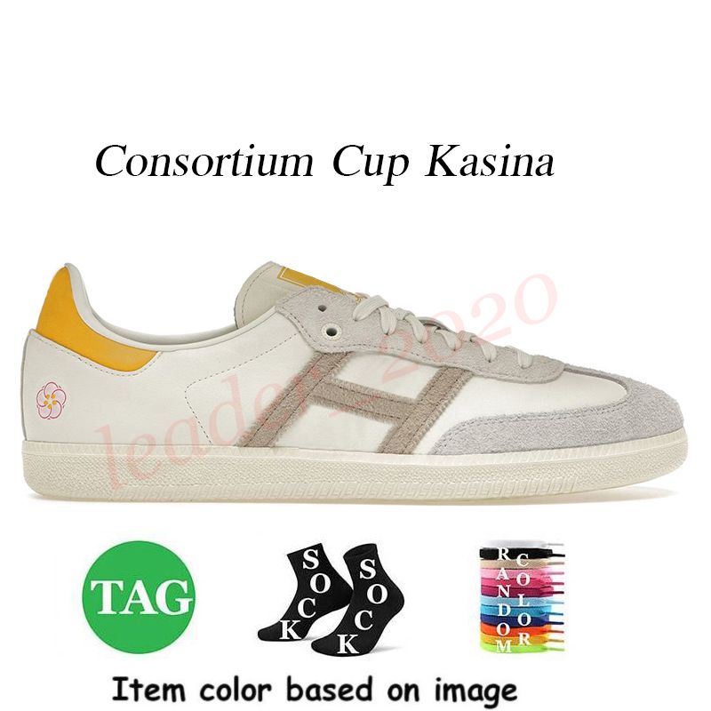 A8 Consortium Cup Kasina