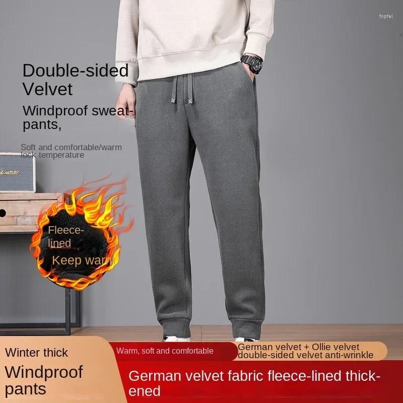 A2009 pants gray