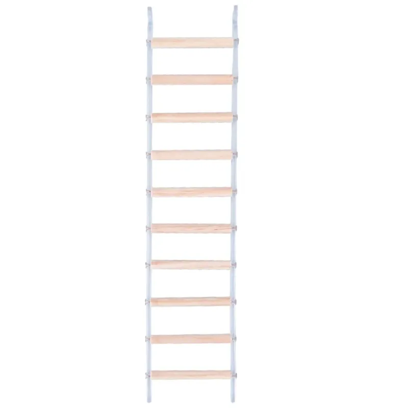 Ladder op de 10e verdieping