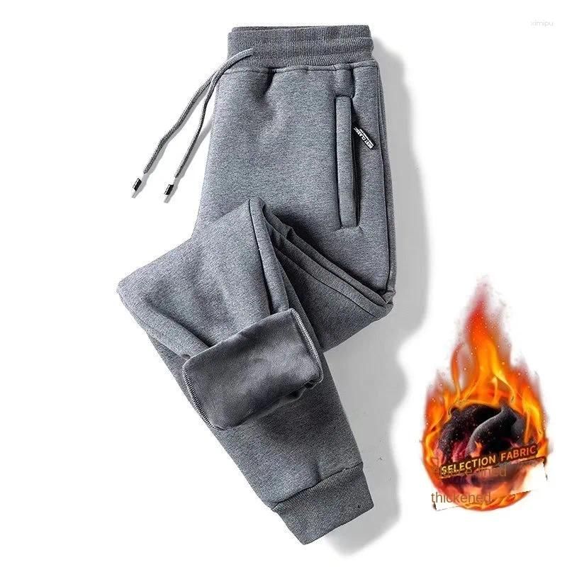 Winter Bunch Pant