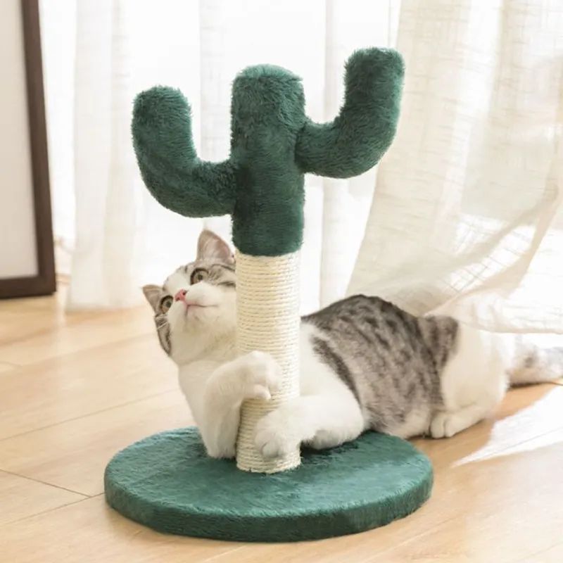 Цвет: Cactus