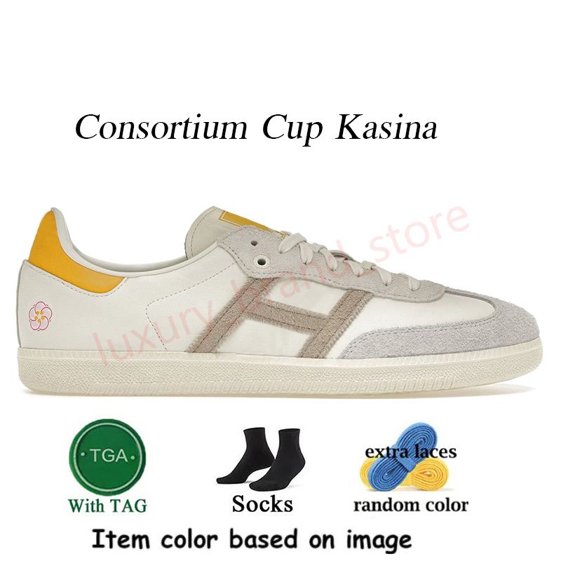 A8 Consortium Cup Kasina