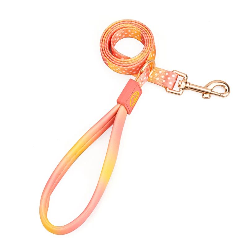 色：Leash-Orangesize：XS