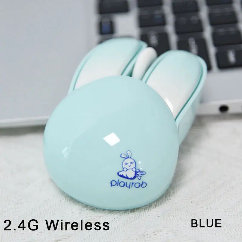 Color:2.4G blue