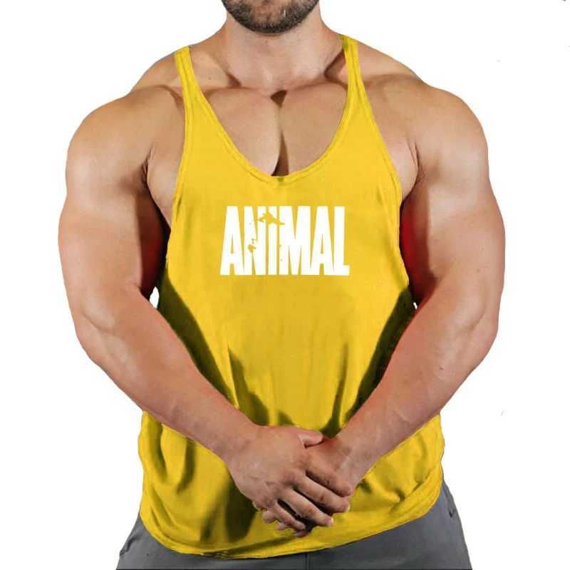 Animal 6