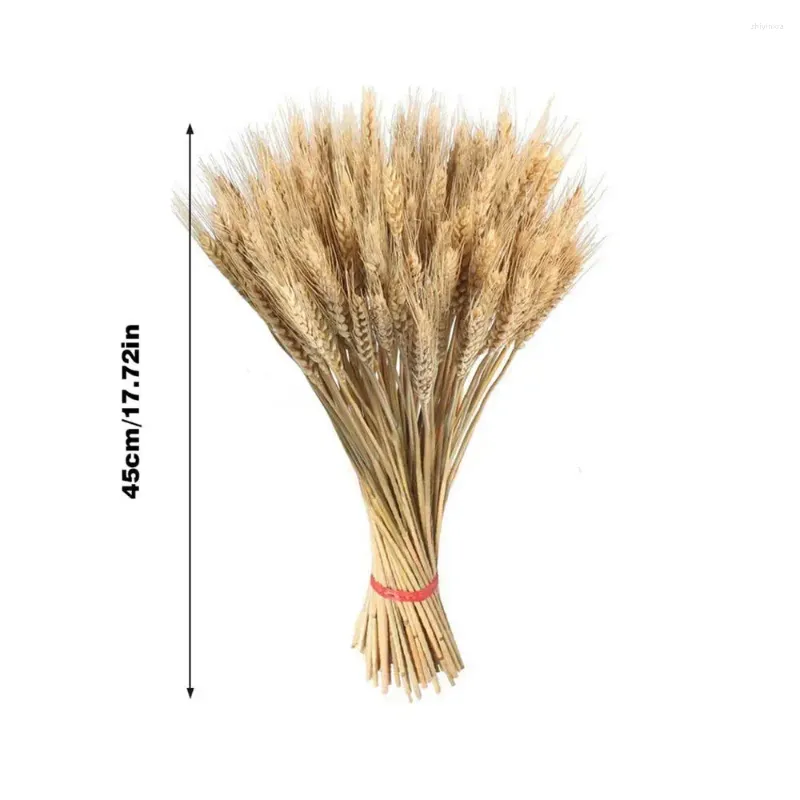 Large golden wheat