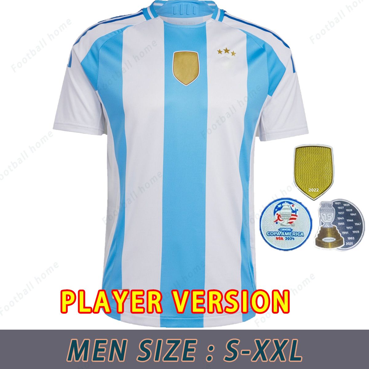 Home Player Version 2024 Copa Patch