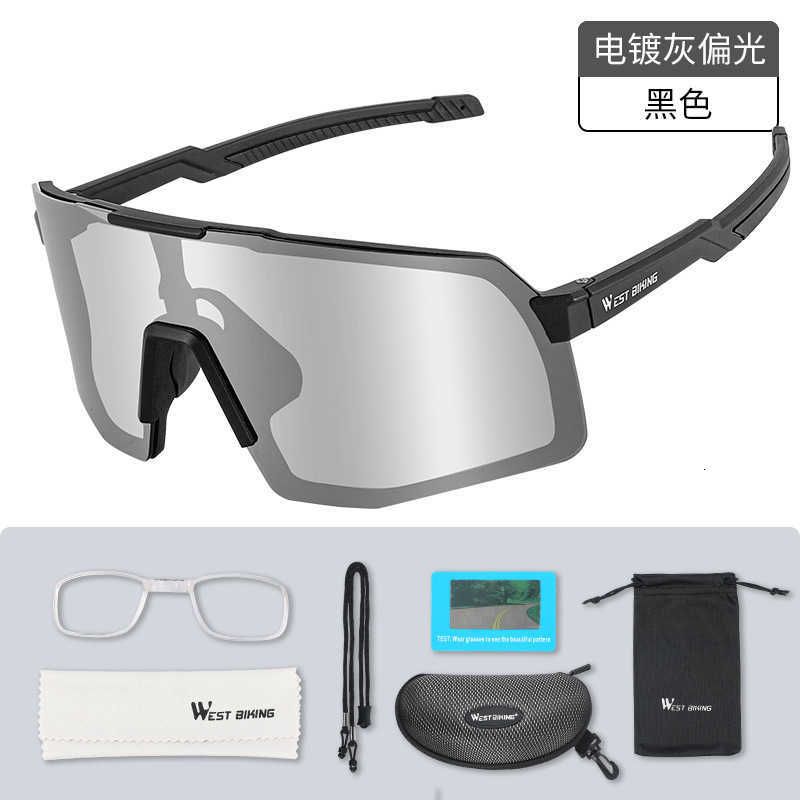 Black Polarized Gray Lens