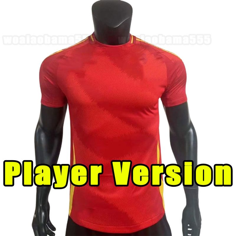 Home player version