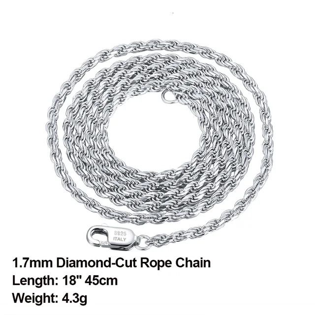 1.7mm Silver 45cm