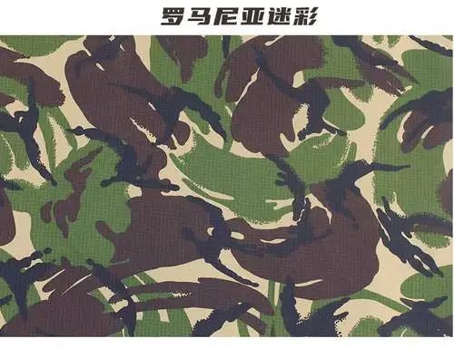 Couleur: camouflage roumain