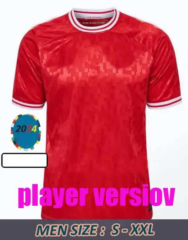 Home player versiov 2024 Euro