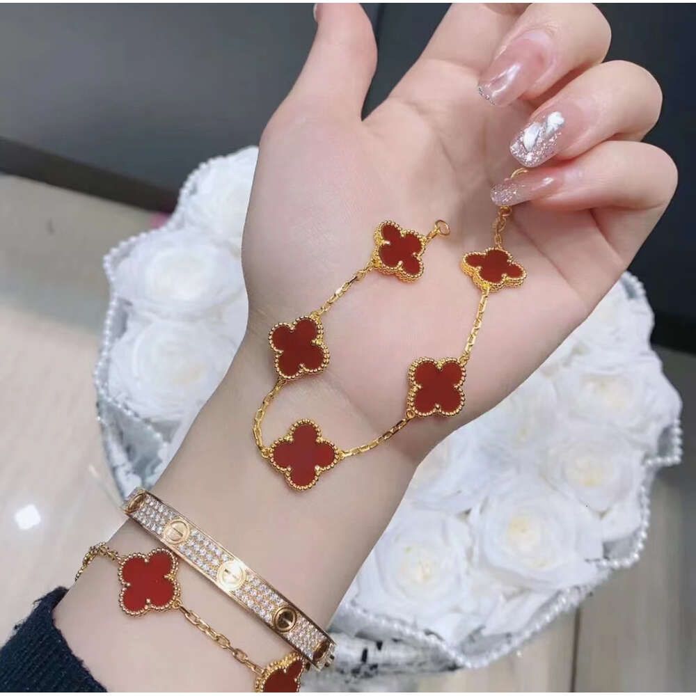 Gold Red Jade Chalcedony Armband-19CM