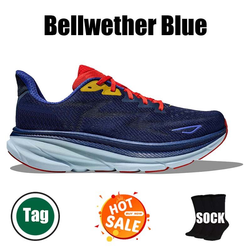 #16 Bellwether Blue 36-47