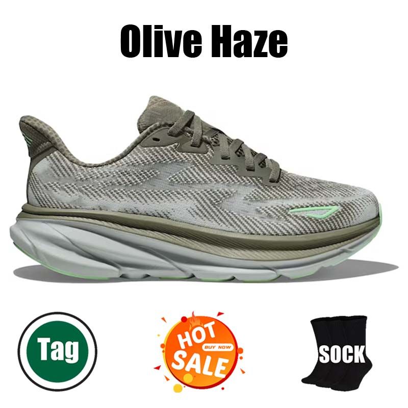 #19 Olive Haze 36-47