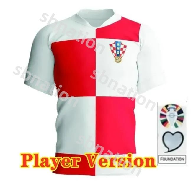 Home player versiov 2024 Euro