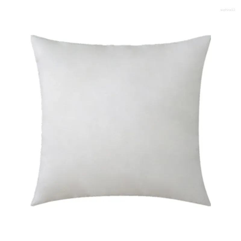 White pillow core
