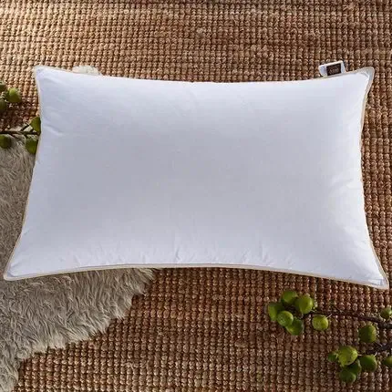 Soft Down Pillow 48*74