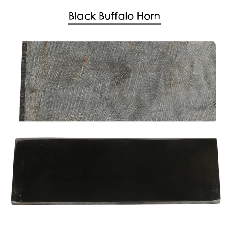 Black Buffalo Horn