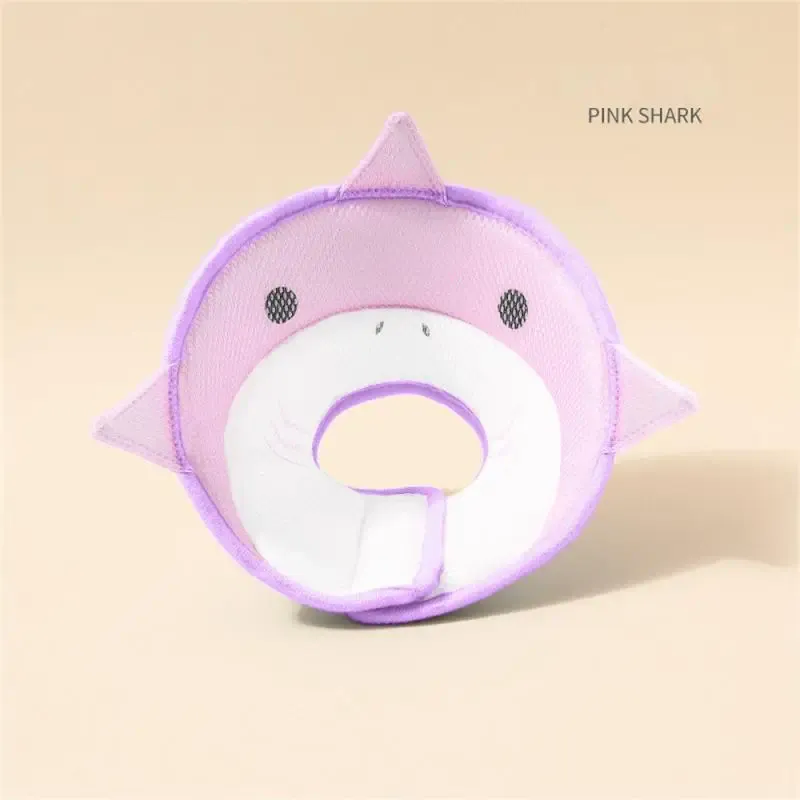 CHINA Pink Shark