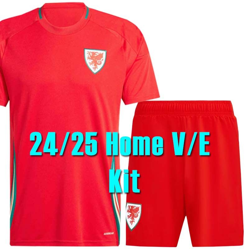 Weiershi 24 25 home kit