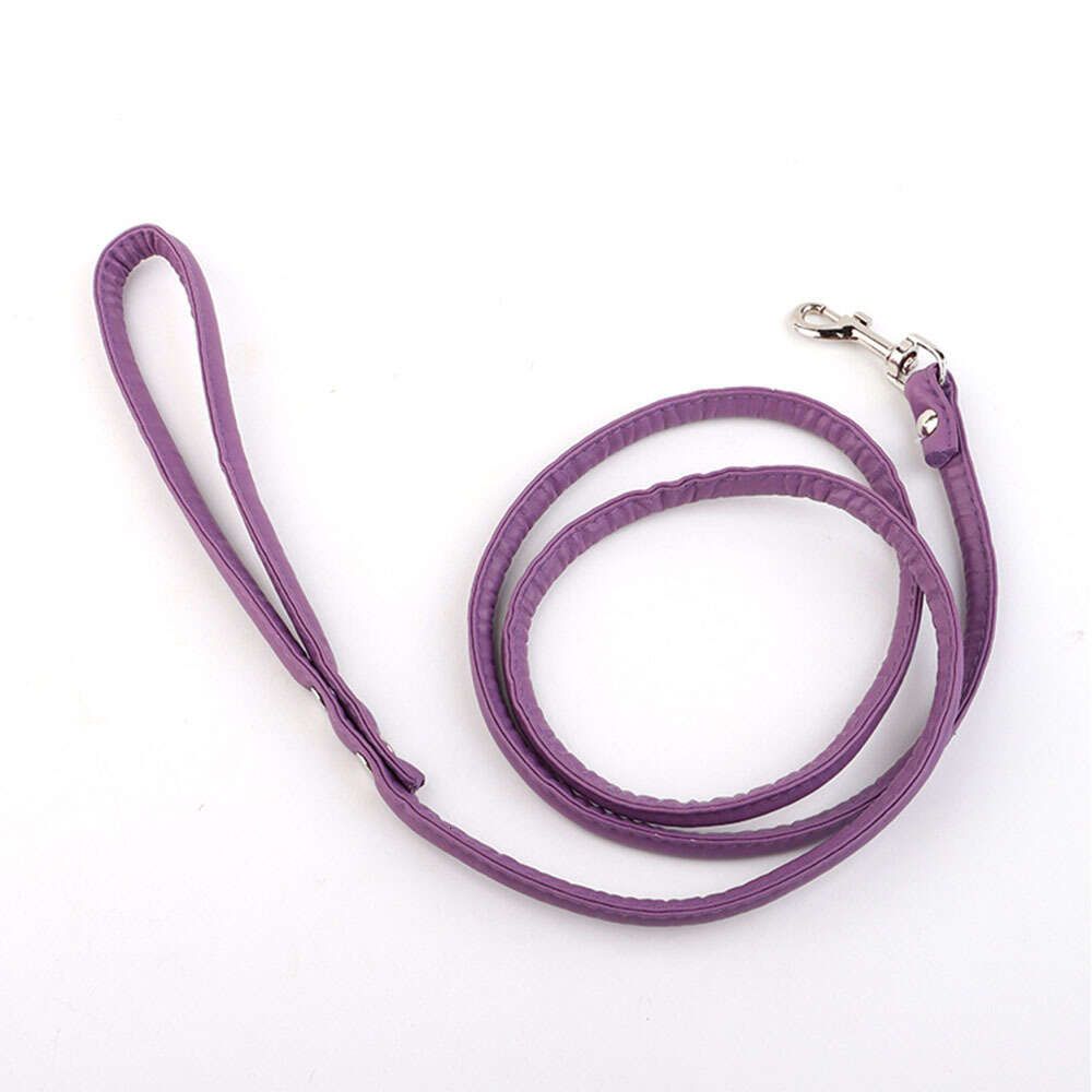 Corde de laisse violet