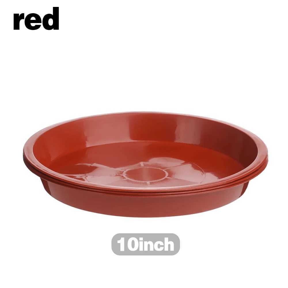 Rood-10 inch