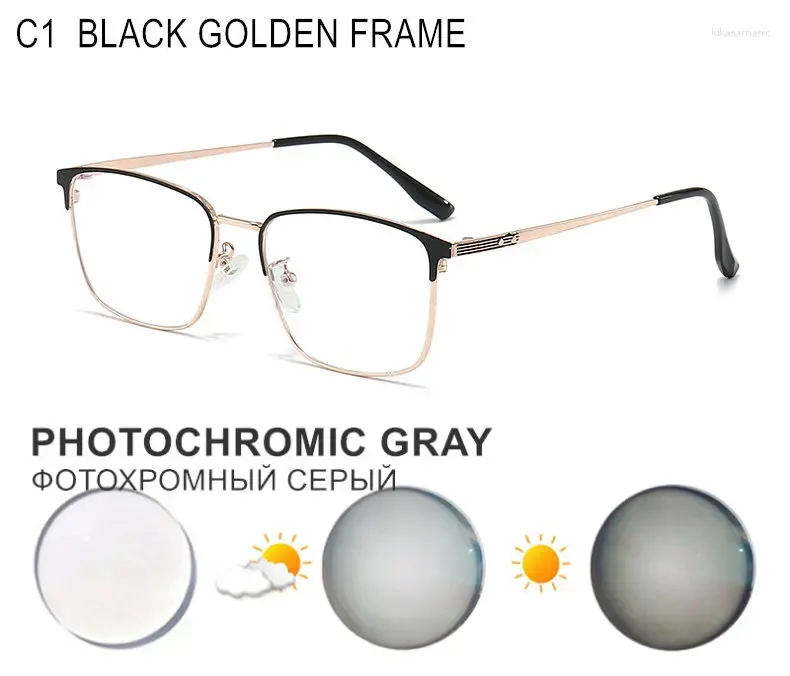 PHOTO GRAY LENS C1