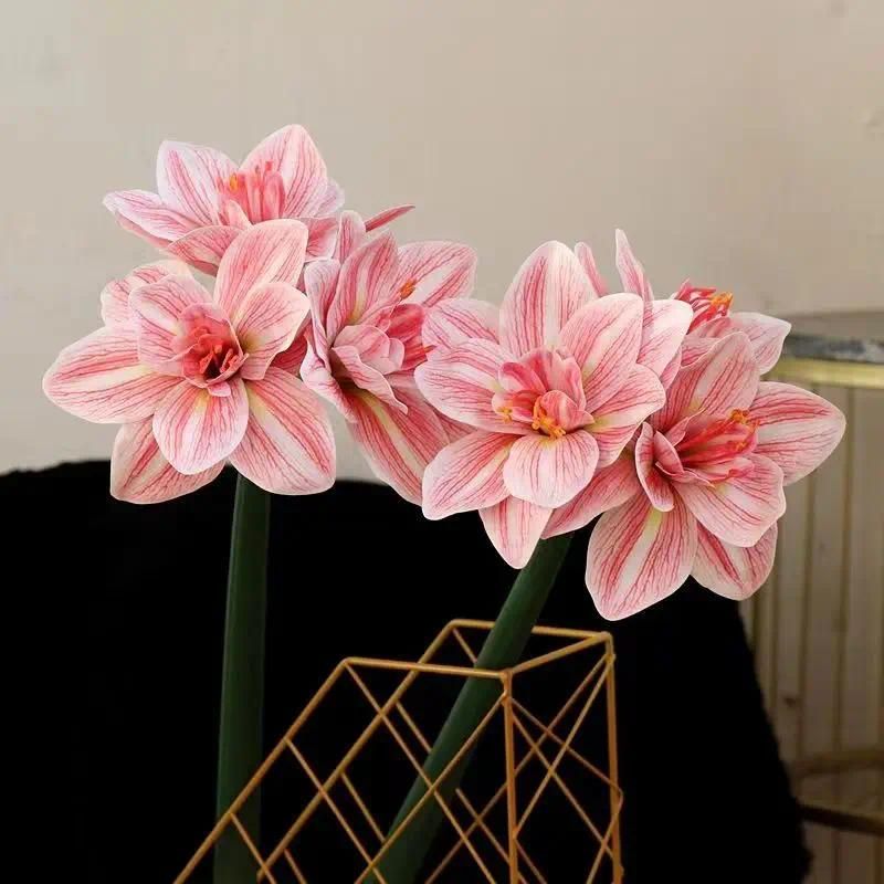 2Pcs Light Pink