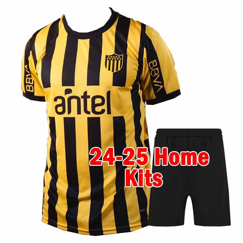 Peinaluoer 24-25 Home kits