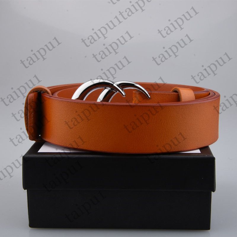 Brown + silver buckle