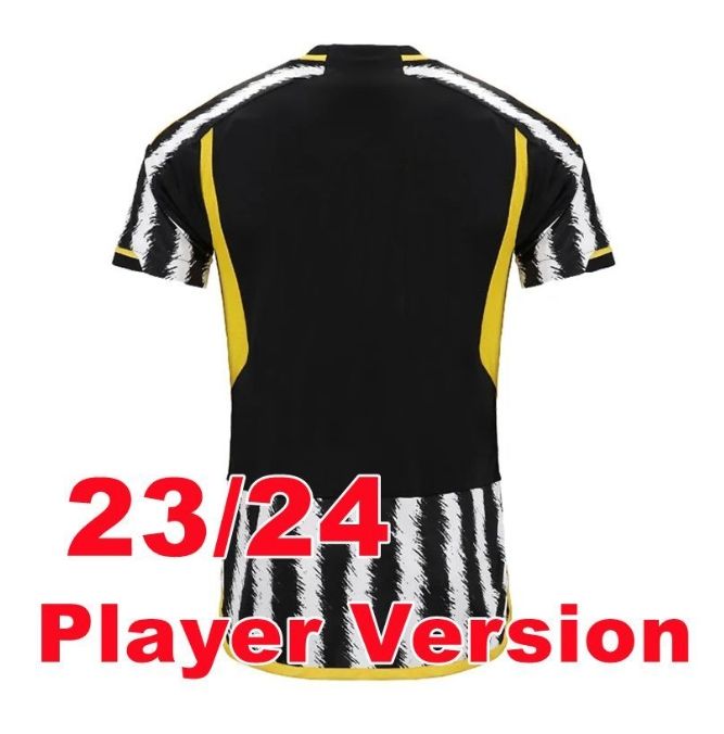 2324 Home Player