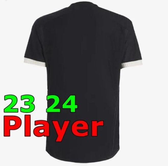 2324 Third Player