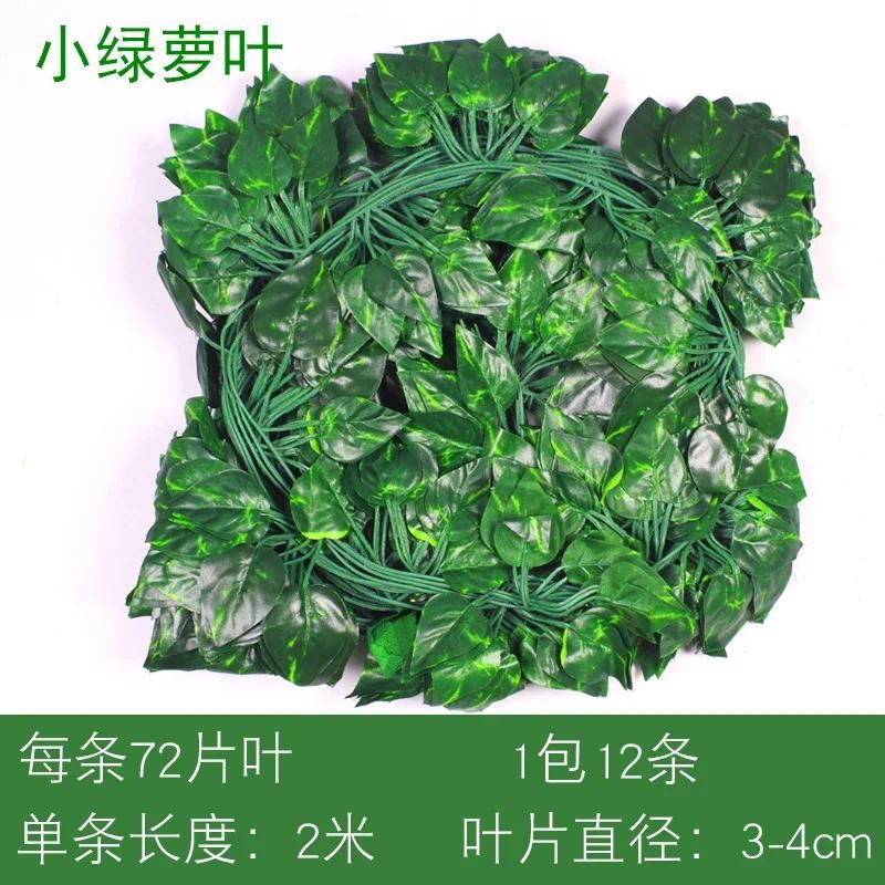 Green Luo Ye Teng12